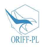 LOGO ORIFFPL